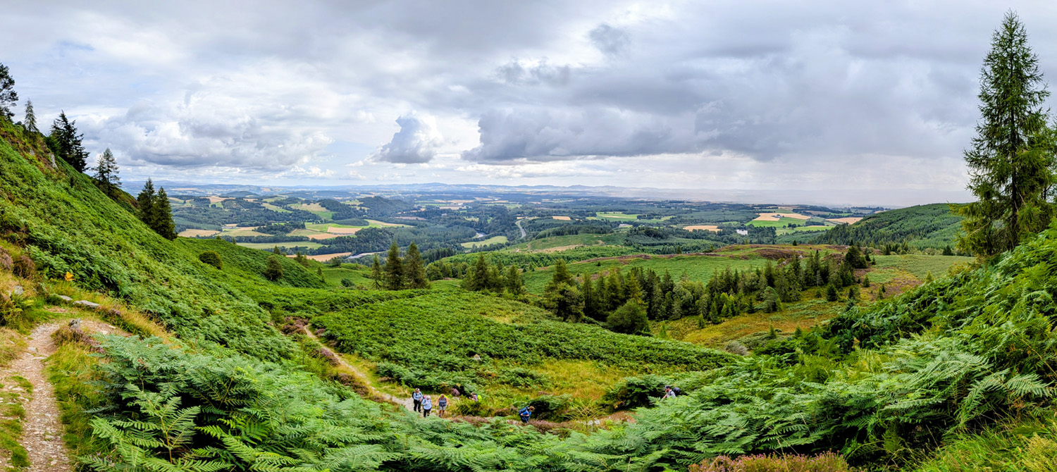 birnam3