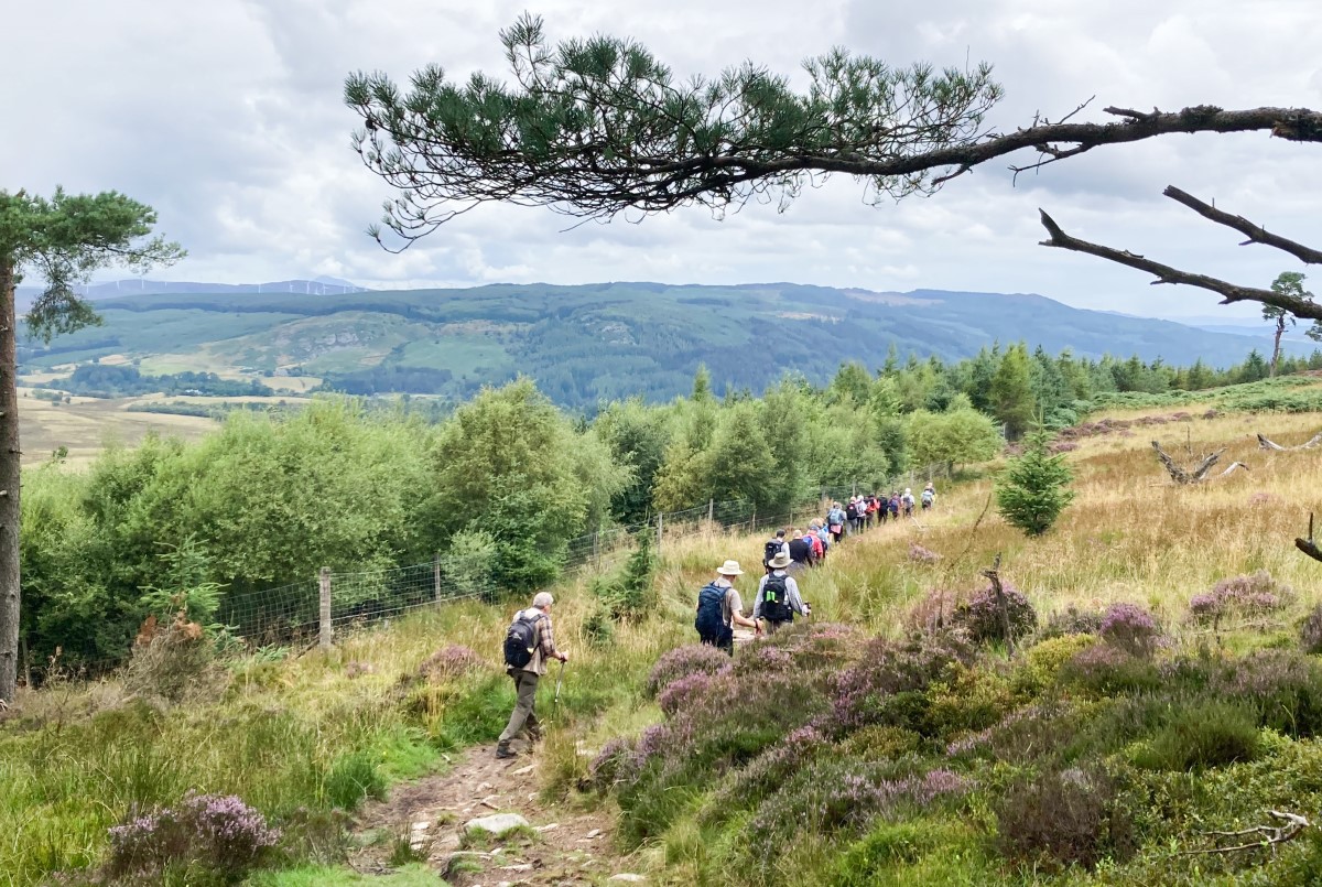 birnam4