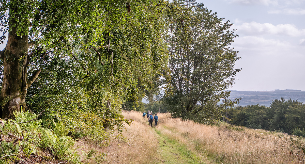 blairadam4